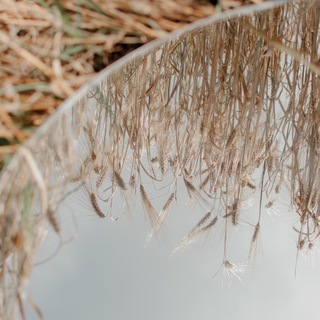 Логотип @art_of_reflection_psy - Психология и рефлексия