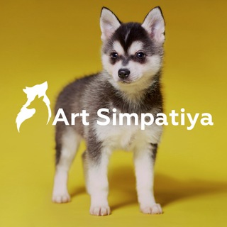 Логотип @art_simpatiya - Питомник Арт Симпатия • 20 лет в породе 🏆🏆🏆