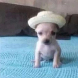 Логотип @artchuchelo - несквик с пивом