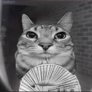 Логотип @artecorp - Arte🖤