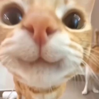 Логотип @arteminsiders - Артем Инсайдов