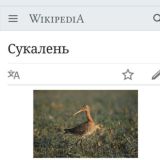 Логотип @artemkalife - Артемка лайф