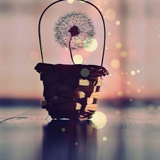 Логотип @artfetish - ArtFetish