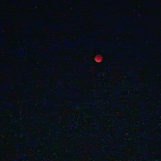 Логотип @arti_perf - Искусственное совершенство