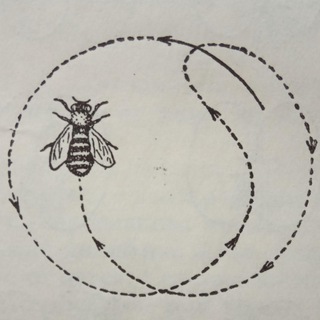 Логотип @artkruzhok - кружок арт-критики ⚪️