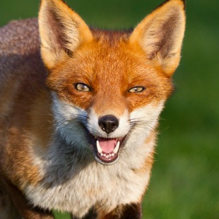 Логотип @arts_manhwa - Арты / Новости по манхвам 18+