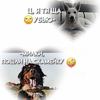 Логотип @artsbally - 🙇🏻‍♀𝙗𝙪𝙧𝙣 𝙃𝙖𝙧𝙧𝙮 𝙖𝙣𝙙 𝙗𝙨𝙝𝙤 𝙈𝙞𝙡𝙠𝙮🫶