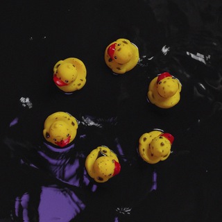 Логотип @artsduck - Duck