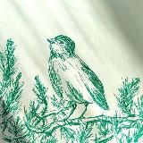 Логотип @arttonight - Wild Bird Art ❤️✨