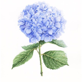 Логотип @artworkclub - Рисуем цветы | Заметки художника