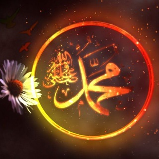 Логотип @arunaeem_salauat - Салауат❤️