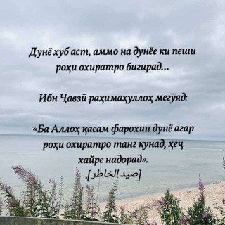 Логотип @asarhoisolihin - Асарҳоӣ солиҳин..!✍️