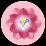 Логотип @ascended_masters - ПУТЬ РАВНОВЕСИЯ | УЧЕНИЯ ВОЗНЕСЕННЫХ ВЛАДЫК ⚜