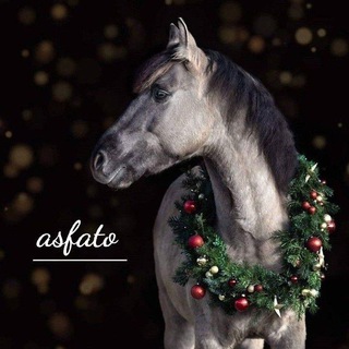 Логотип @asfato - Асфато