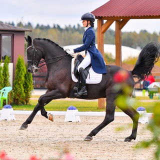 Логотип @ashdressage - ash.dressage