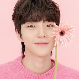 Логотип @asia_doramy_katalog - 🦋Навигация Азиатские Дорамы🦋