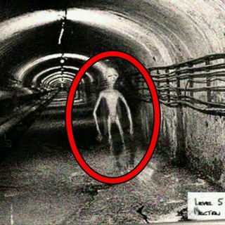 Логотип @assaltoarea51 - Assalto Area 51