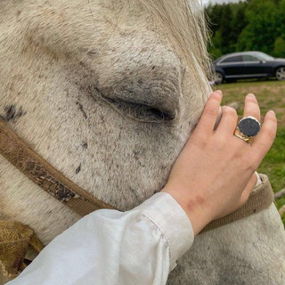 Логотип @assalyaaml - assalyaam