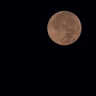 Логотип @assamchi - assamchi