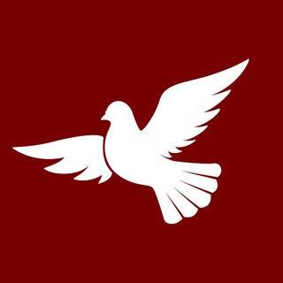 Логотип @assembly_rus - Дипломатия.Live