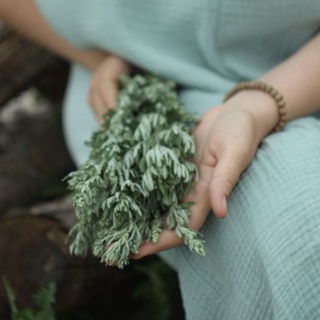 Логотип @aste_ya - 🌿АСТЕЯ🌿