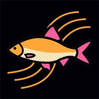 Логотип @astrahantg - Астрахань (from news media) все новости из СМИ, ЧП