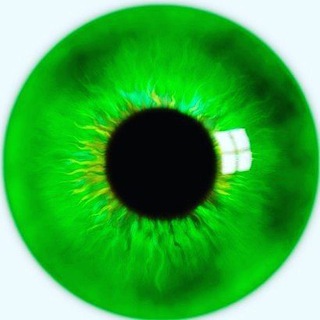 Логотип @astrakha_30 - Творческая Астрахань