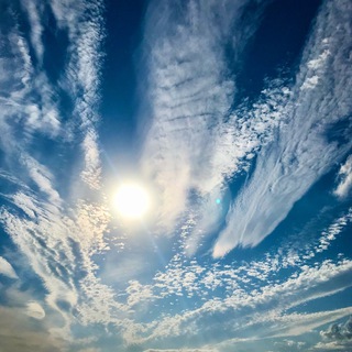 Логотип @astramarya21 - Розы и роботы