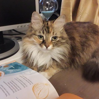 Логотип @astrid_read - Астрид читает