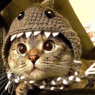 Логотип @astrologiyya - астрология