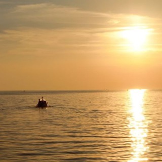 Логотип @astromonie - Astromonie