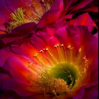 Логотип @astrotaronika - Эзотерика💫Энергопрактики