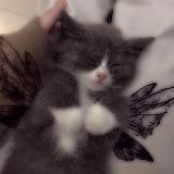 Логотип @astrroooo - 《твой любимый астролог》