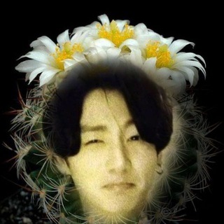 Логотип @astrumvirtt - Ночлег Рома