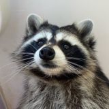 Логотип @asweday - ASWEDAY