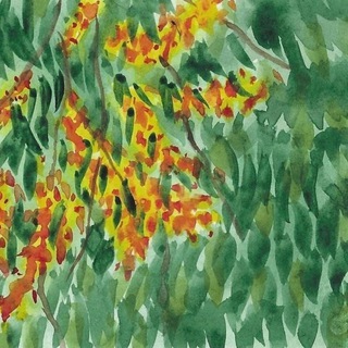 Логотип @asy5_order - тазик/заказы/архив