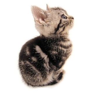 Логотип @asyasolnyshko - ася солнышко