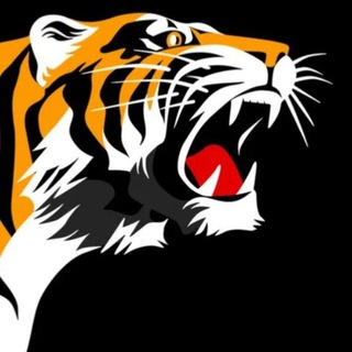 Логотип @asylbetsport - KINGG8601 прогнозы на спорт