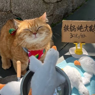 Логотип @athepik - Athepikk