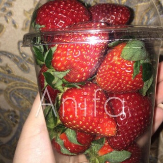 Логотип @atommsoxr_95 - Anifa