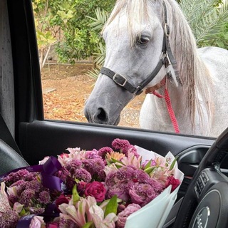 Логотип @atoms19 - 𝖺𝗆𝗒𝗅𝗎𝗏