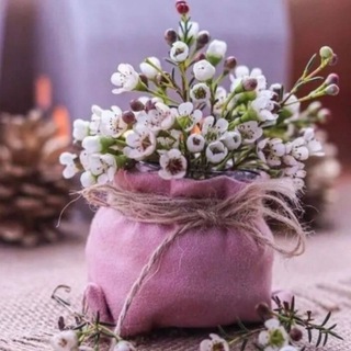 Логотип @atomy86ru - ATOMY Косметика для тебя!