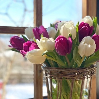 Логотип @atomykarina - ✨Эко-маркет✨