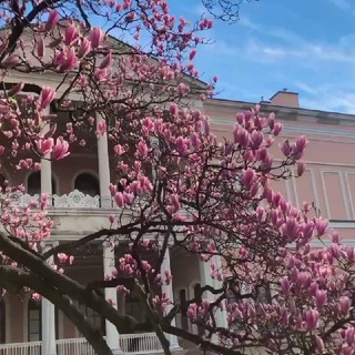 Логотип @attuvvv - аьттув чат