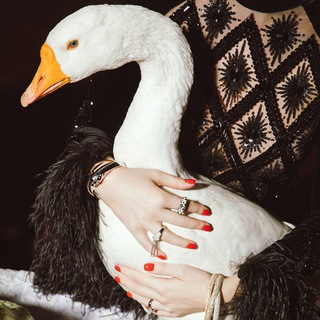 Логотип @audaltsova - Что ты делаешь, Алла?