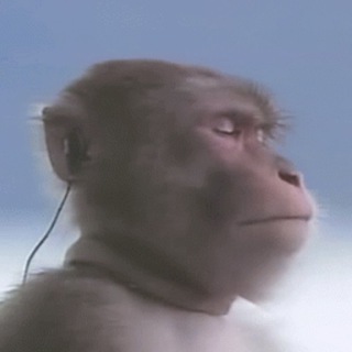 Логотип @audiokeril - аудиокерил