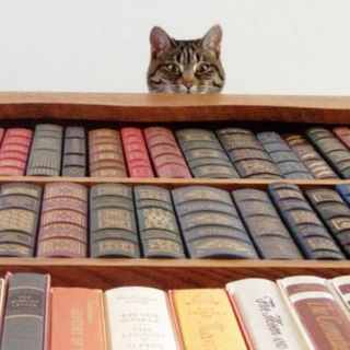 Логотип @audiokutubxonachat - КИТОБ МУХОКОМАСИ