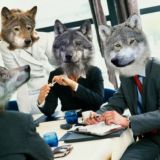 Логотип @auf_wolves - auf