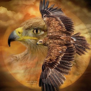 Логотип @aufwachen - Aufwachen