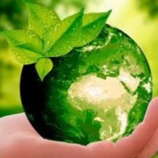 Логотип @augreenpeace - Зелёный Мир